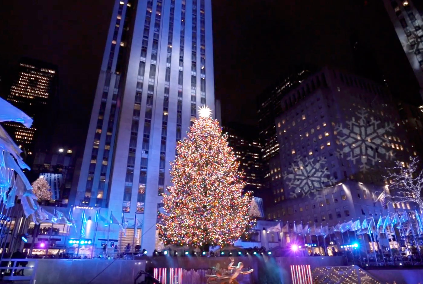 Immagini Natale Nel Mondo.Alberi Di Natale Nel Mondo 2018 Da Spelacchio Alla Casa Bianca