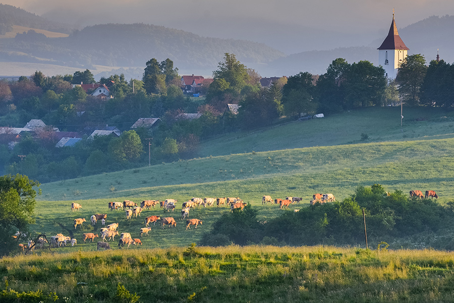 Ecovillaggi la scelta perfetta per chi ama le vacanze ecologiche