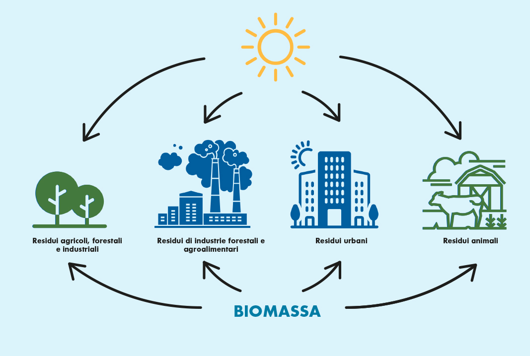 I tipi di biomasse