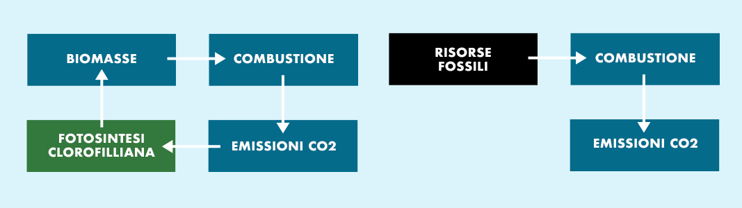 Emissioni da biomasse